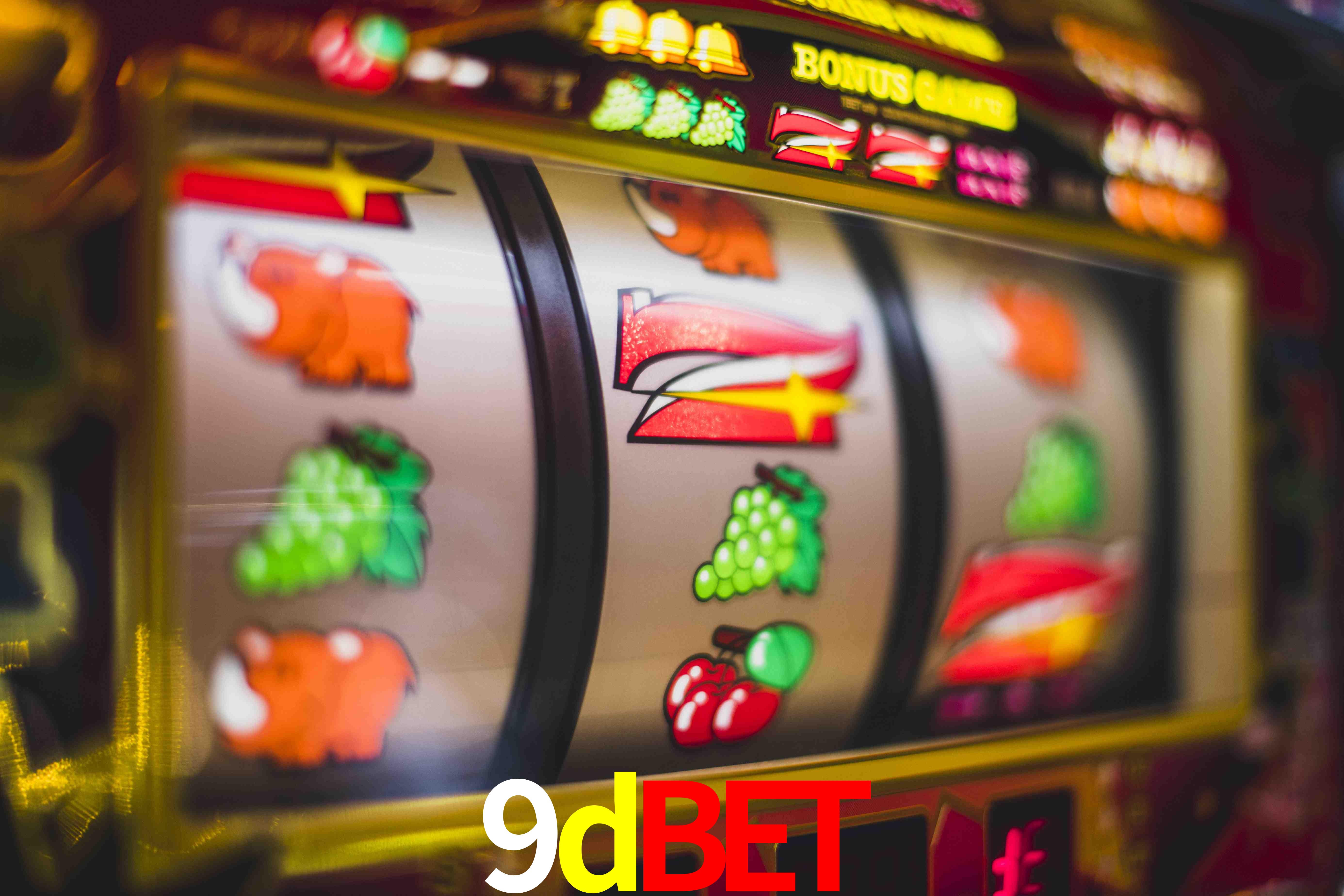 Experiência VIP 9dbet